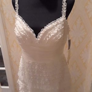 Pronovias lace wedding dress.